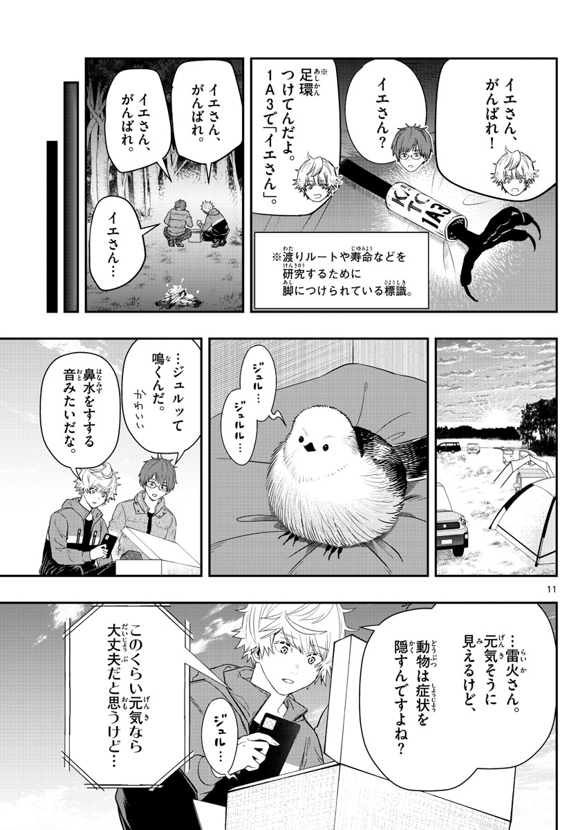 ラストカルテ-法獣医学者当麻健匠の記憶- 第55話 - Page 11