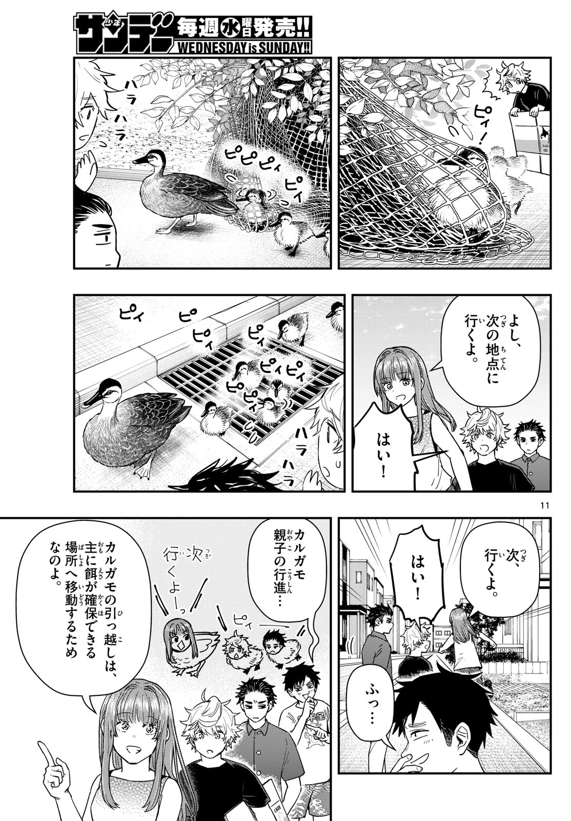 ラストカルテ-法獣医学者当麻健匠の記憶- 第73話 - Page 11