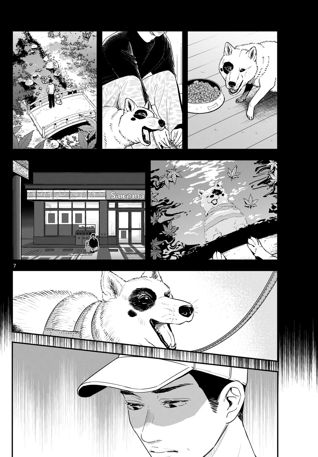 ラストカルテ-法獣医学者当麻健匠の記憶- 第79話 - Page 7