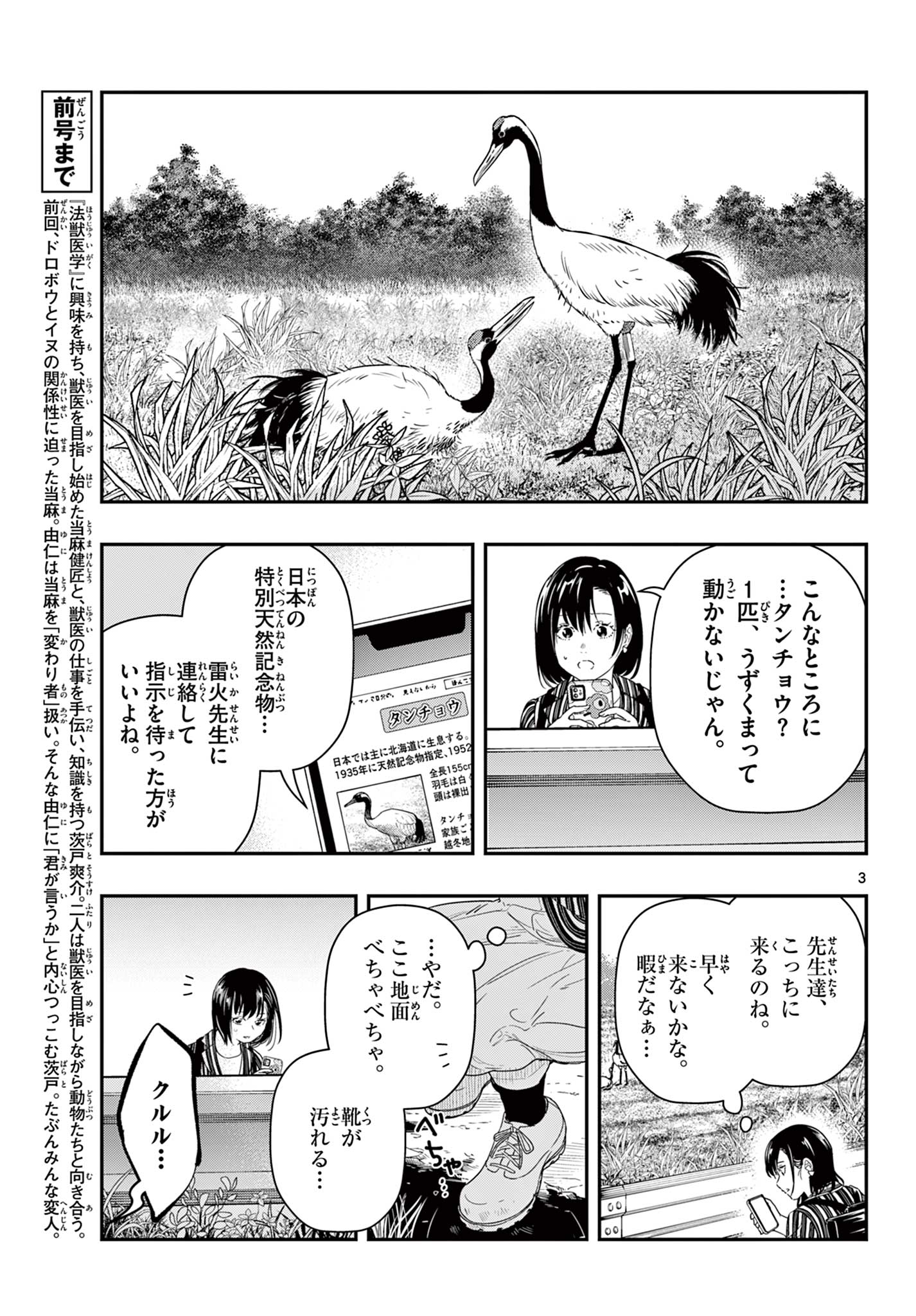 ラストカルテ-法獣医学者当麻健匠の記憶- 第80話 - Page 3