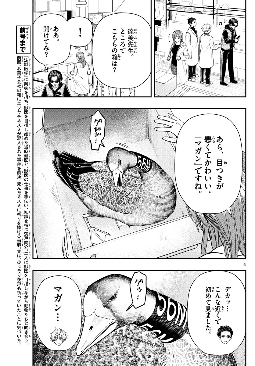 ラストカルテ-法獣医学者当麻健匠の記憶- 第9話 - Page 5