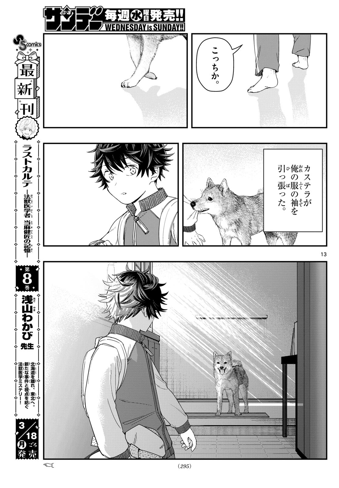 ラストカルテ-法獣医学者当麻健匠の記憶- 第90話 - Page 13