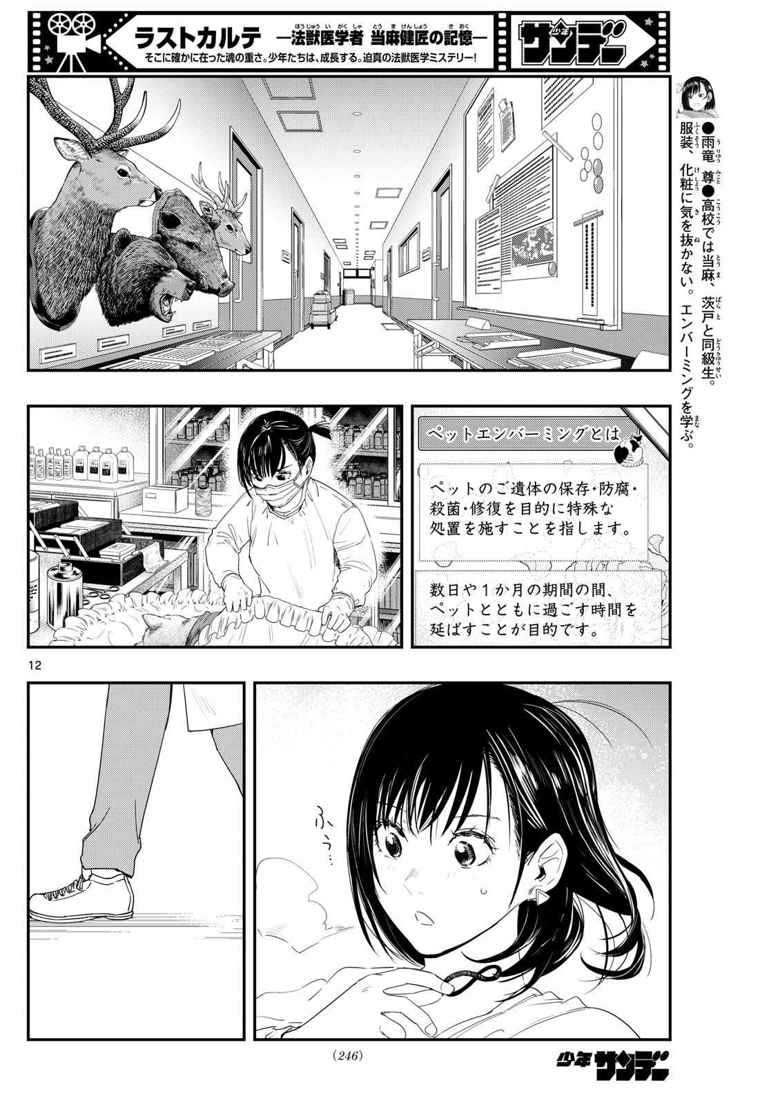 ラストカルテ-法獣医学者当麻健匠の記憶- 第94話 - Page 13