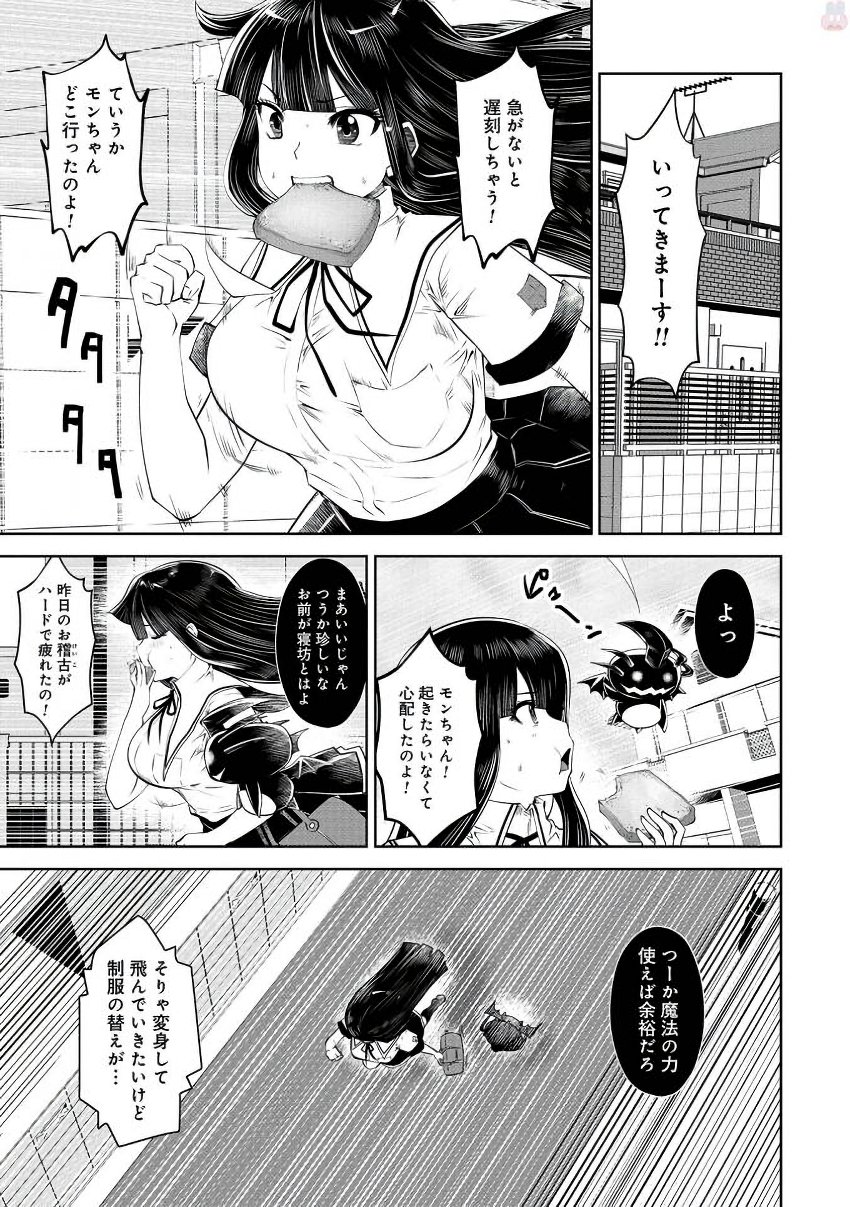 間違った子を魔法少女にしてしまった 第24話 - Page 17