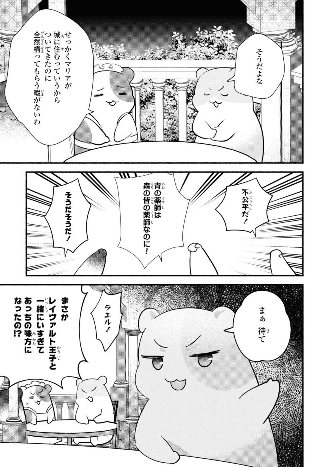 まがいもの令嬢から愛され薬師になりました 第22.2話 - Page 12