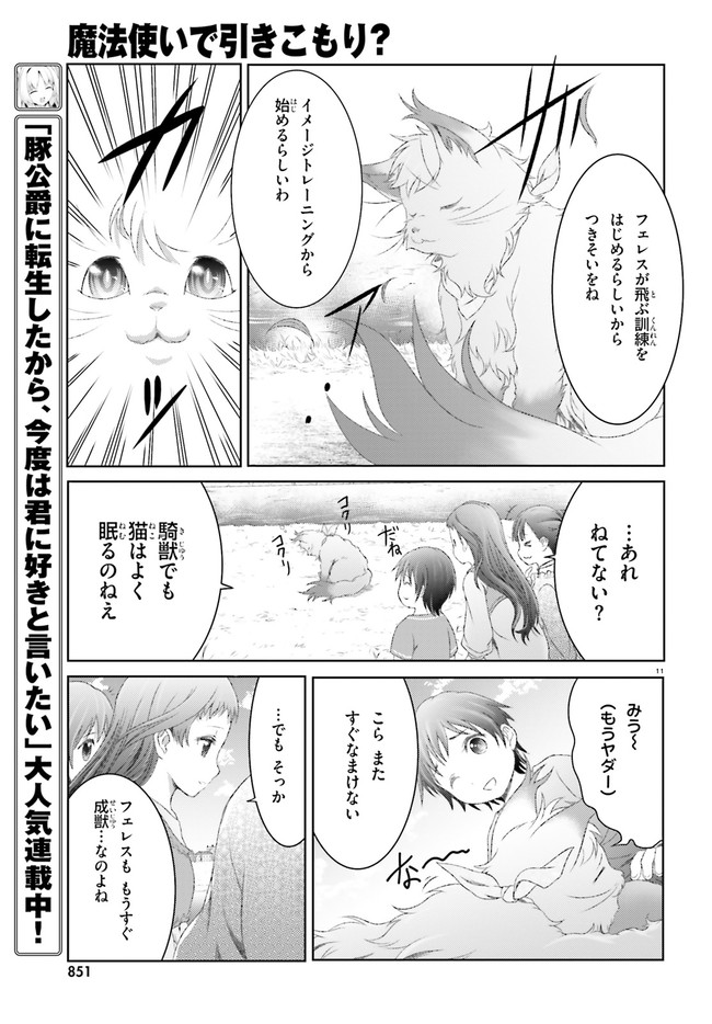 魔法使いで引きこもり？～モフモフ以外とも心を通わせよう物語～ 第27話 - Page 11