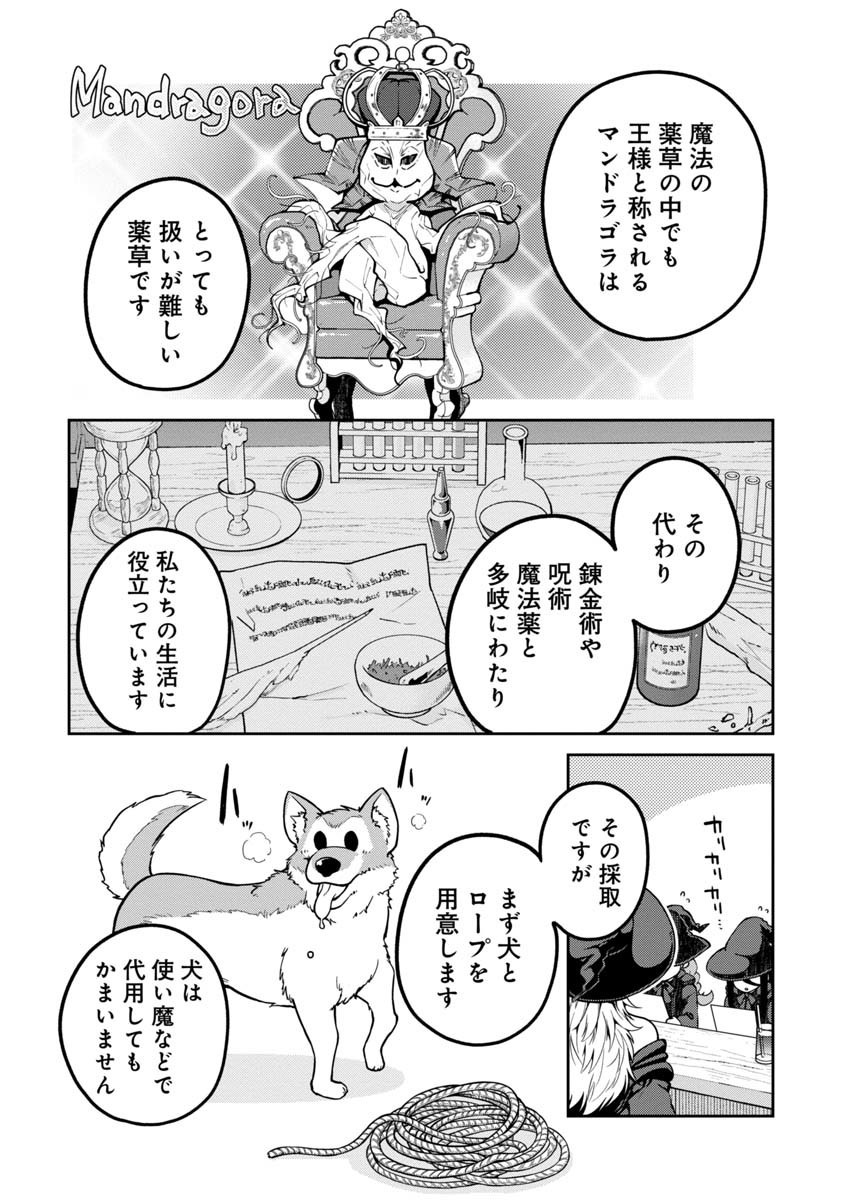 魔女の立ち飲み薬酒店 第3話 - Page 3