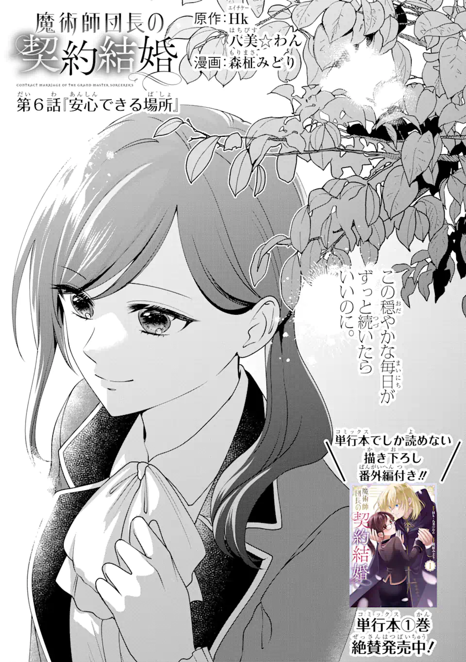 魔術師団長の契約結婚 第6.1話 - Page 1