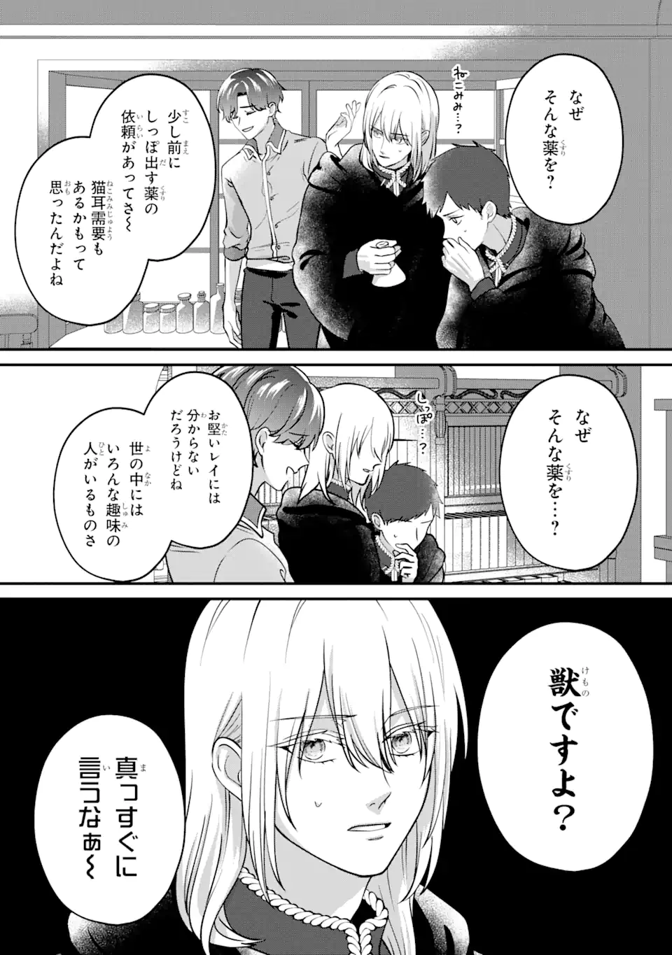 魔術師団長の契約結婚 第8.2話 - Page 10