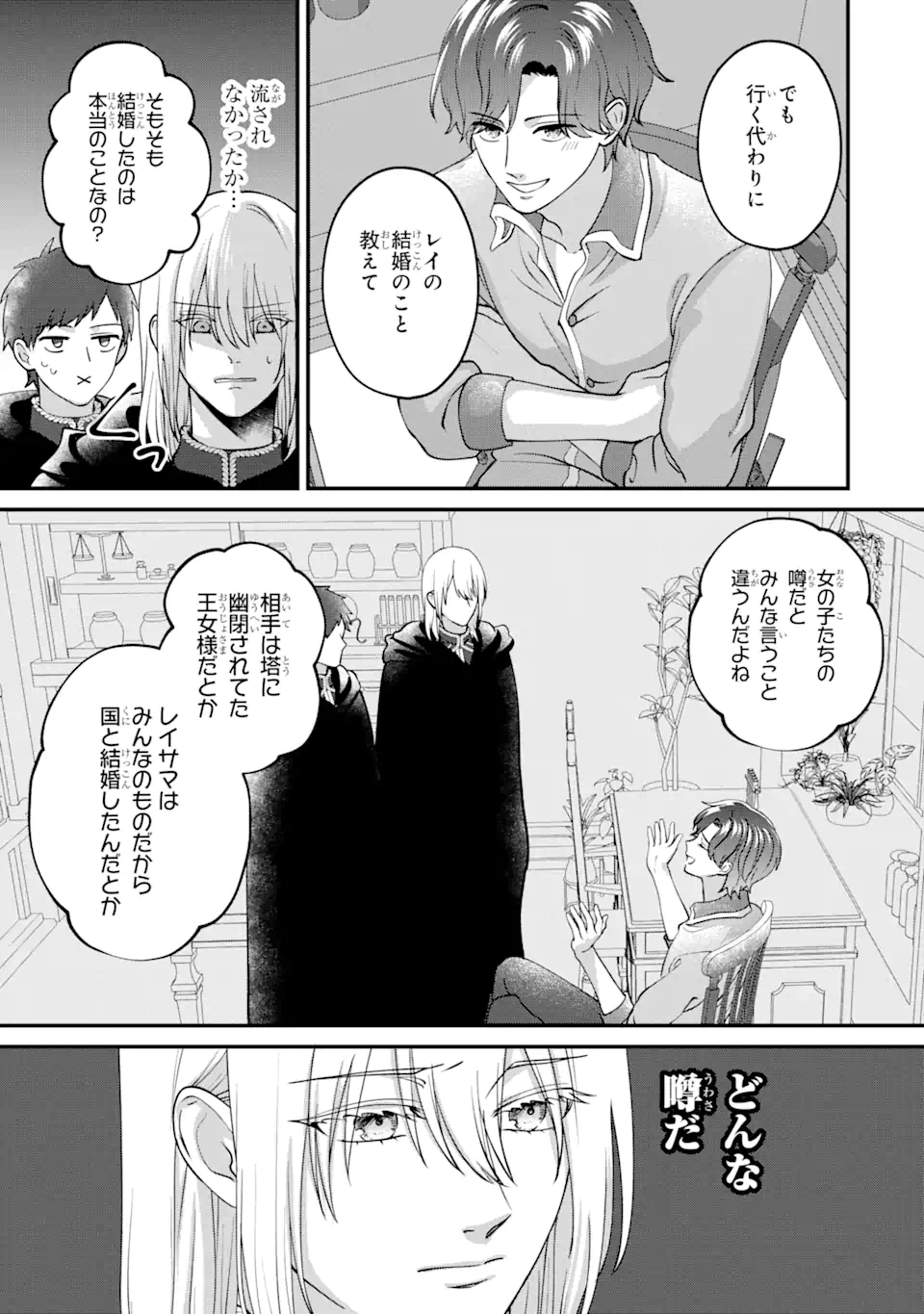 魔術師団長の契約結婚 第8.3話 - Page 3