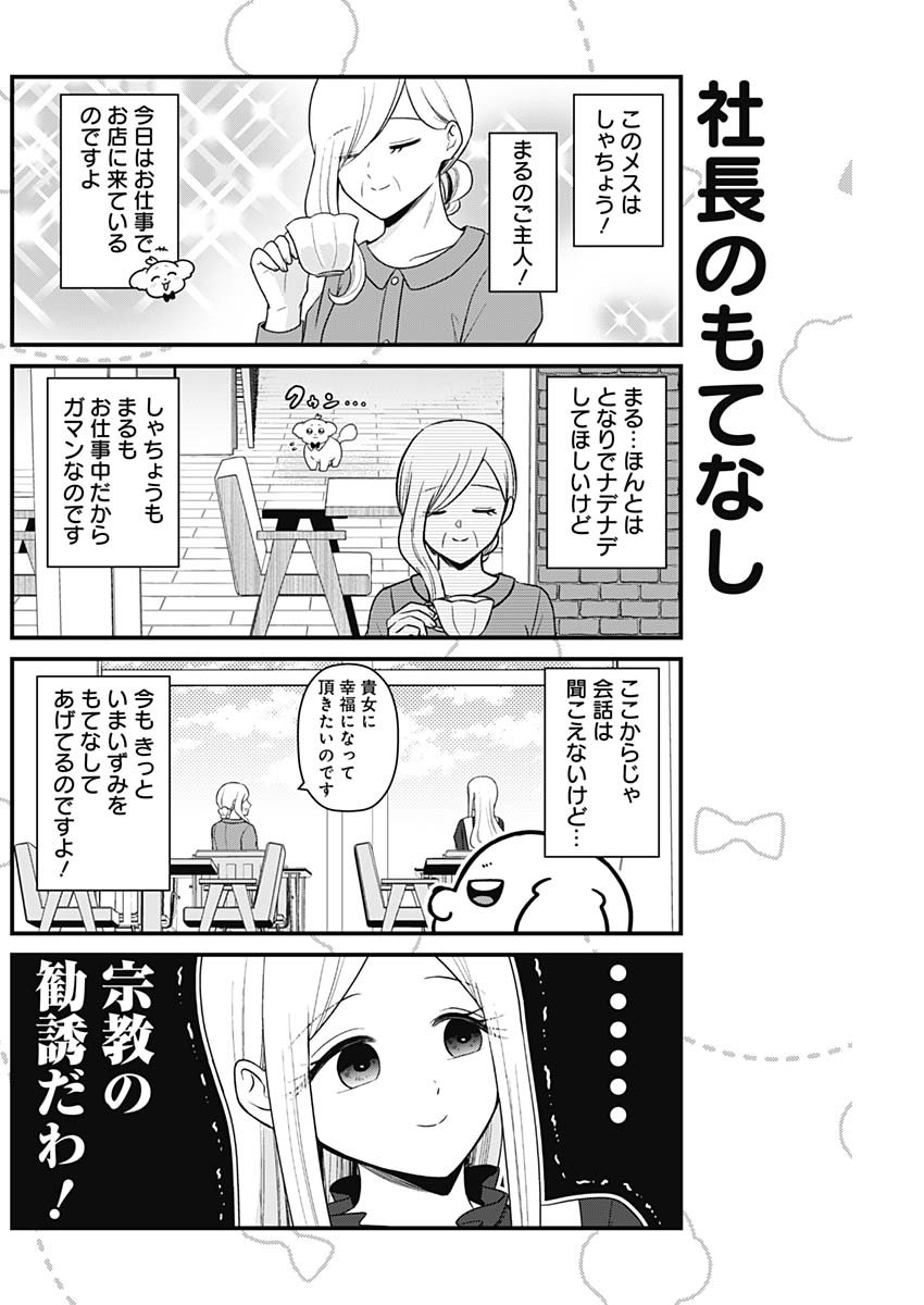 まるくん～はたらくマルチーズ～ 第18話 - Page 3