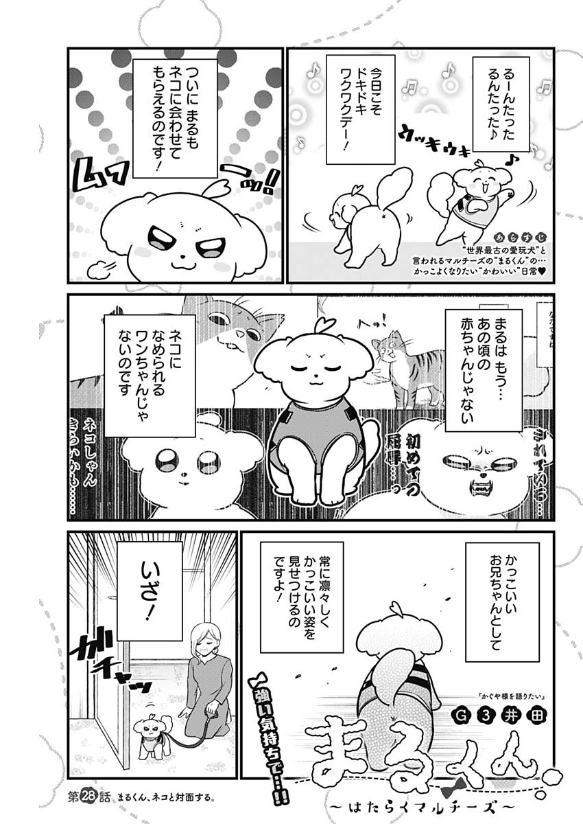 まるくん～はたらくマルチーズ～ 第28話 - Page 2