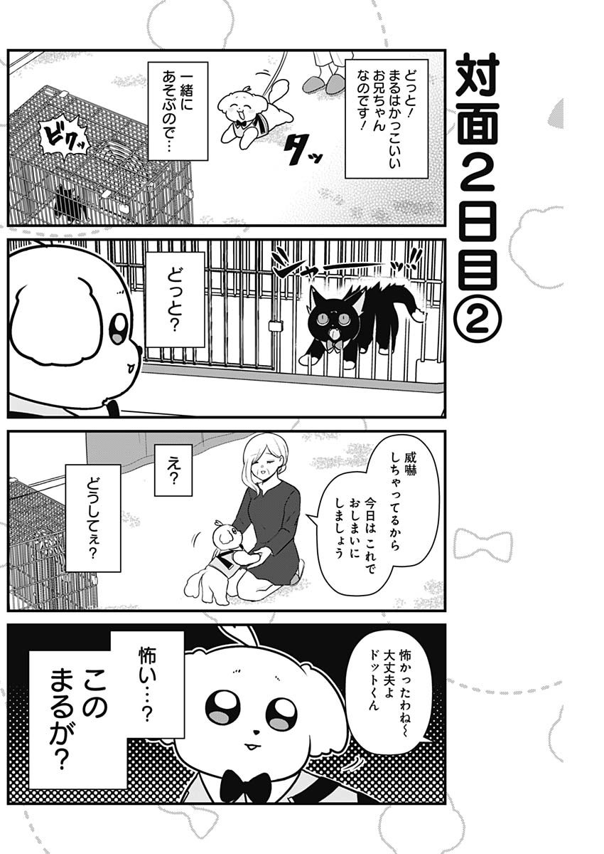 まるくん～はたらくマルチーズ～ 第28話 - Page 4