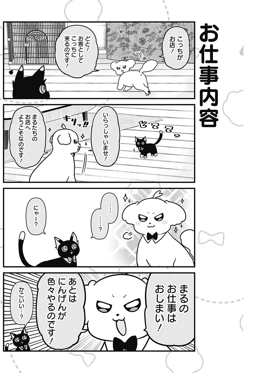 まるくん～はたらくマルチーズ～ 第32話 - Page 2