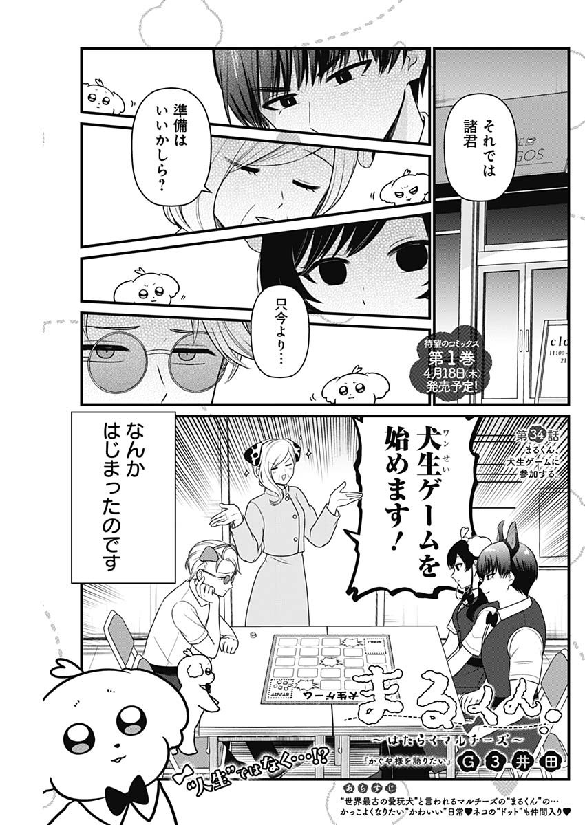 まるくん～はたらくマルチーズ～ 第34話 - Page 2