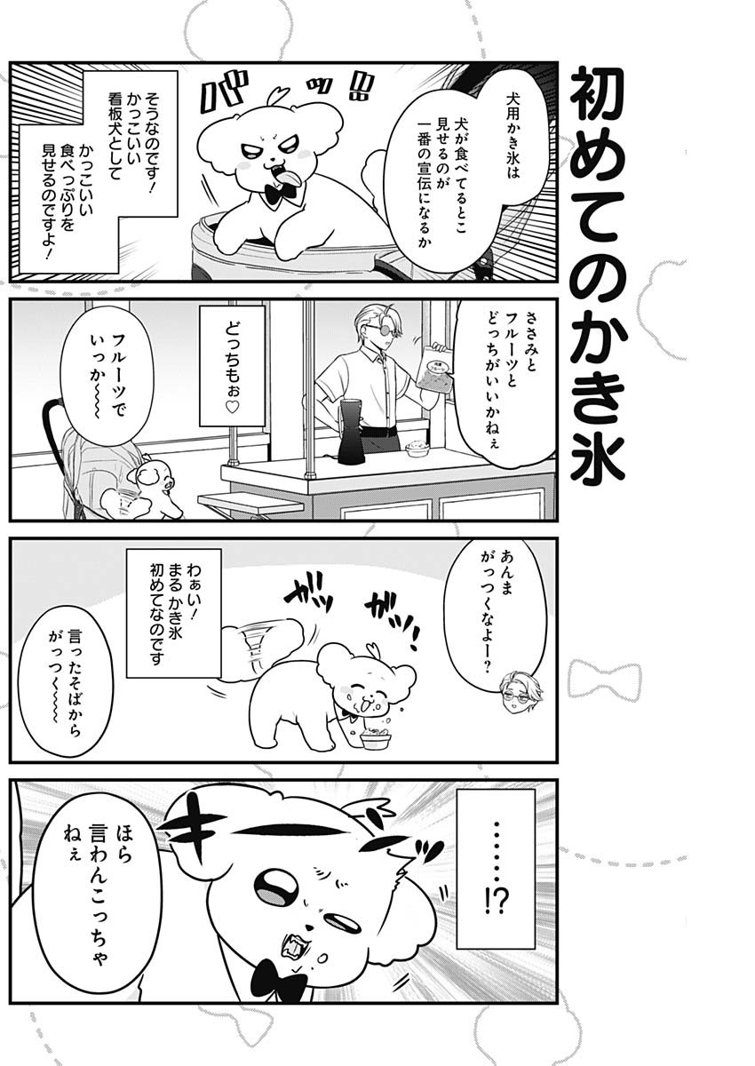 まるくん～はたらくマルチーズ～ 第36話 - Page 7