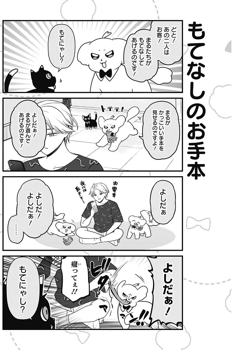 まるくん～はたらくマルチーズ～ 第39話 - Page 5