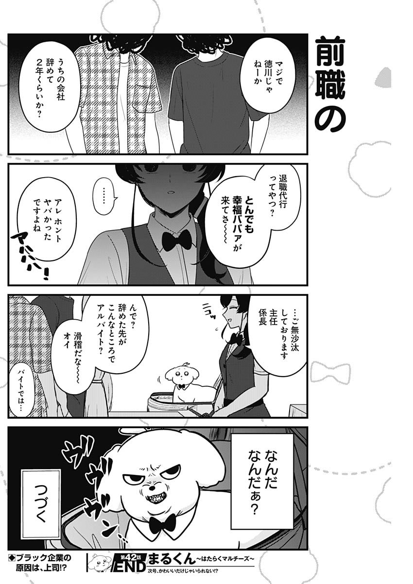 まるくん～はたらくマルチーズ～ 第42話 - Page 8