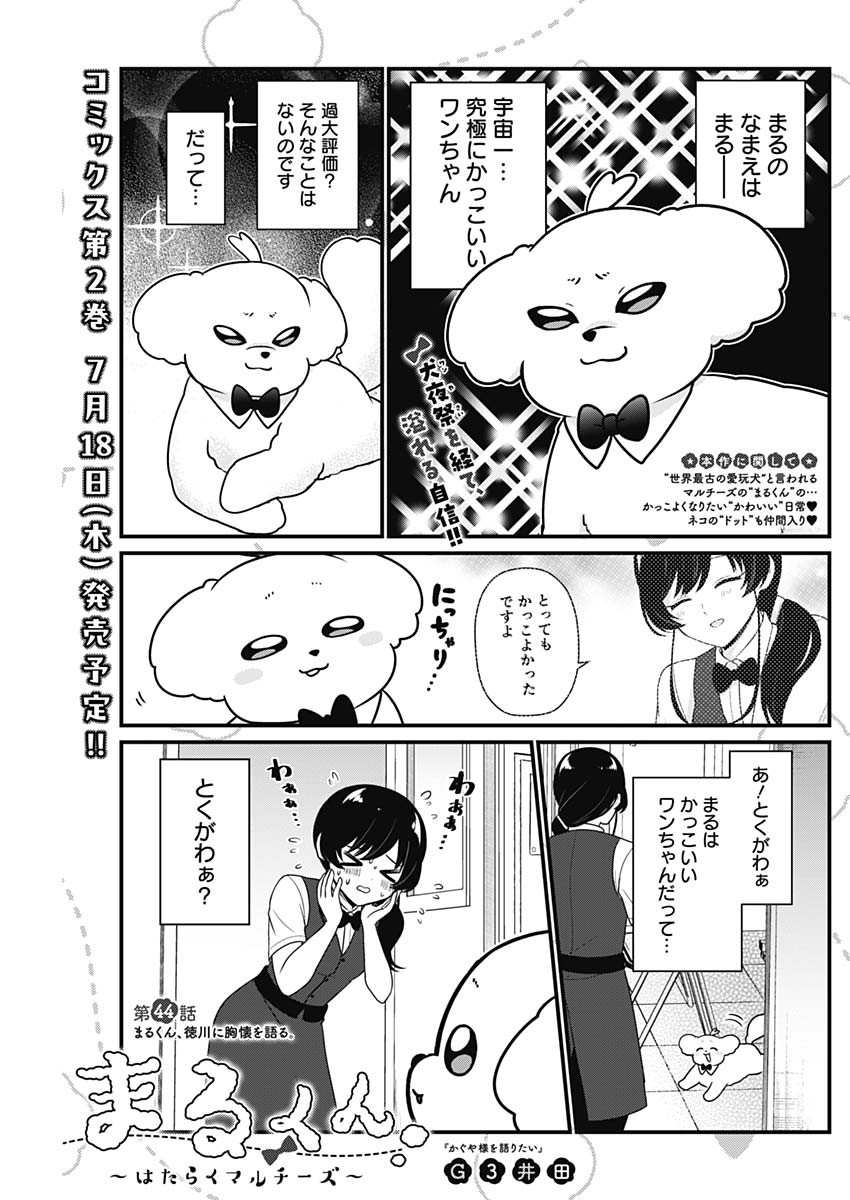 まるくん～はたらくマルチーズ～ 第44話 - Page 1