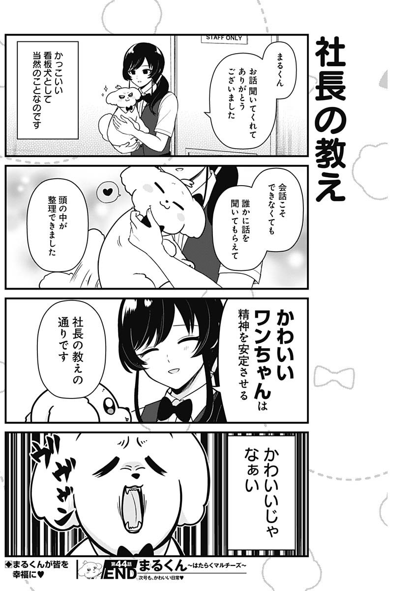 まるくん～はたらくマルチーズ～ 第44話 - Page 8