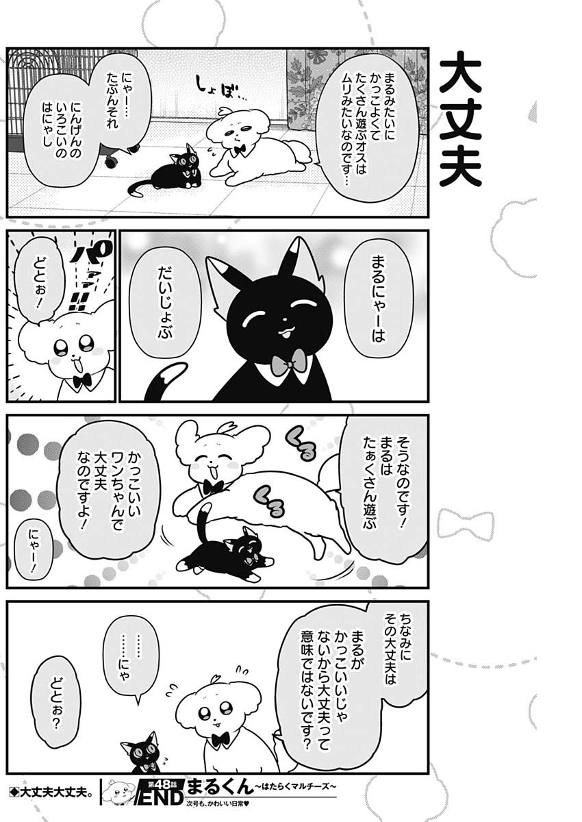 まるくん～はたらくマルチーズ～ 第48話 - Page 9