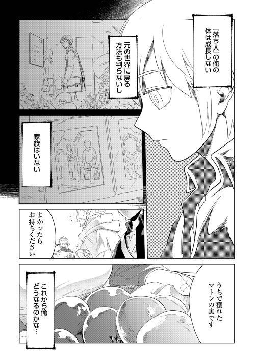 もふもふと異世界でスローライフを目指します！ 第3話 - Page 15