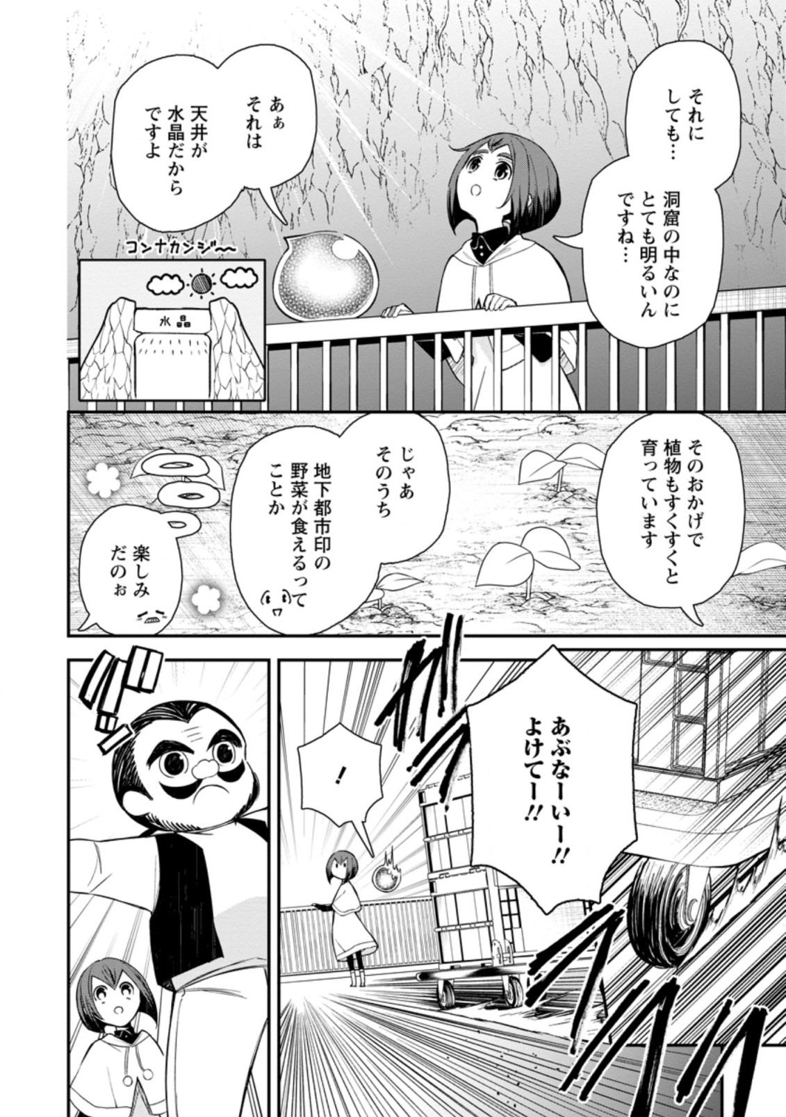 村人転生最強のスローライフ 第43.1話 - Page 11