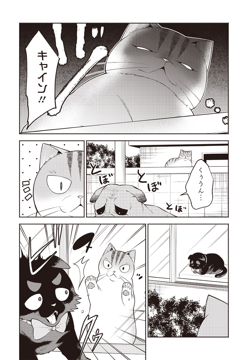 猫が如く 第21話 - Page 5