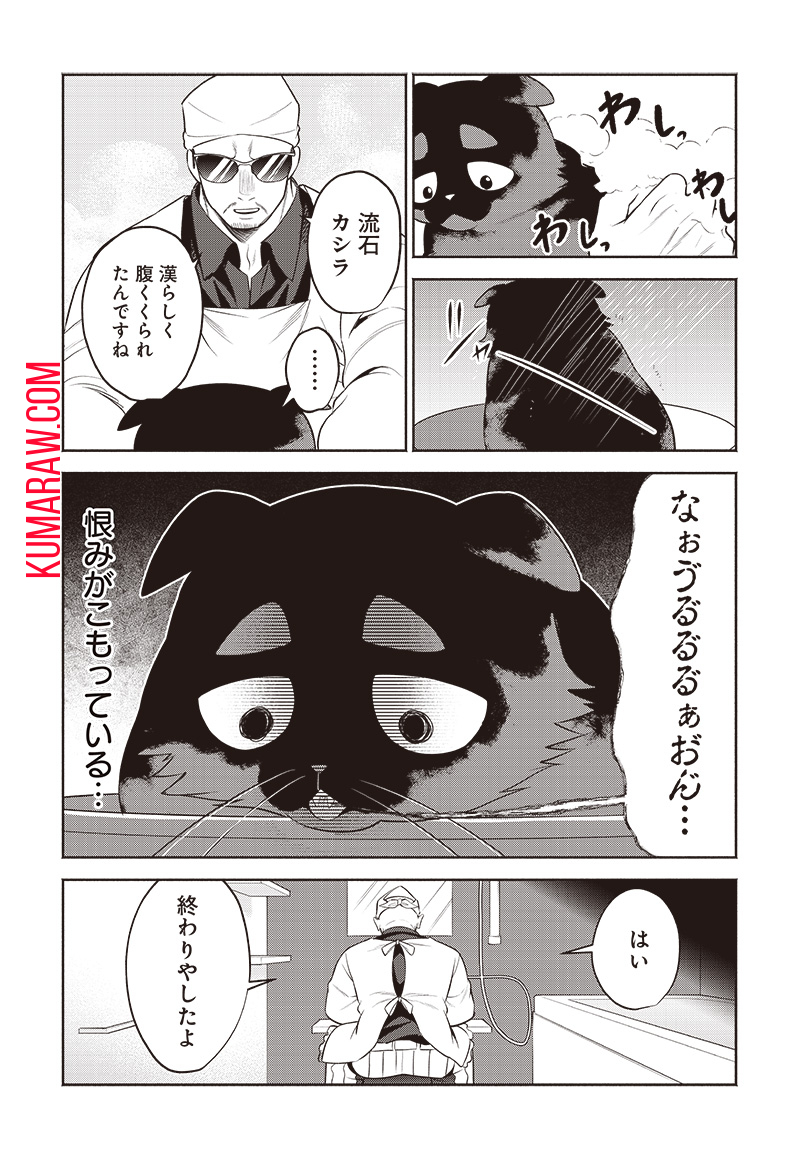 猫が如く 第24話 - Page 5