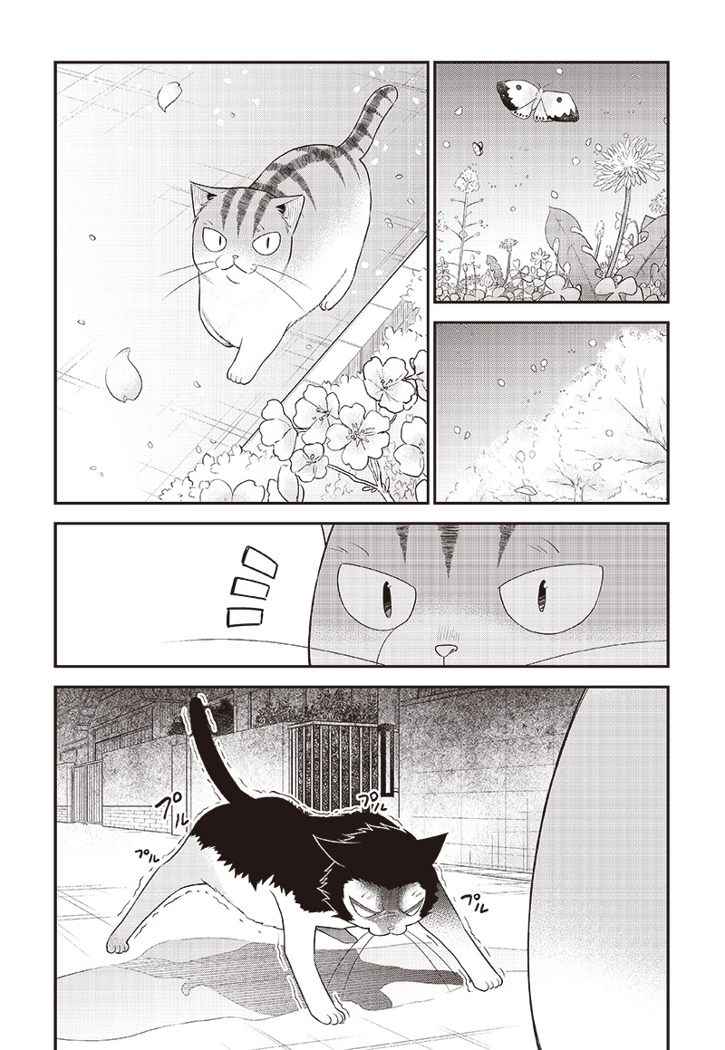 猫が如く 第33話 - Page 4