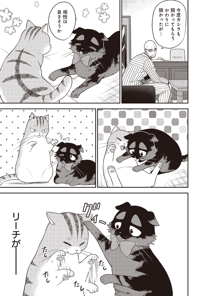 猫が如く 第35話 - Page 5