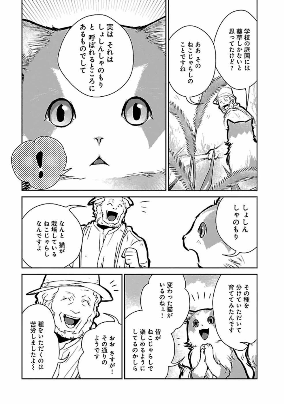 猫と竜 第19話 - Page 5