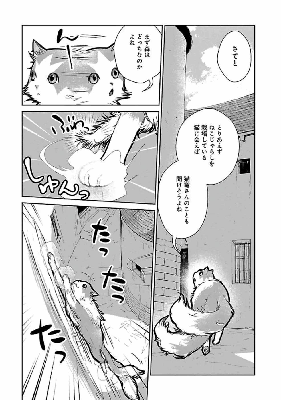 猫と竜 第19話 - Page 15