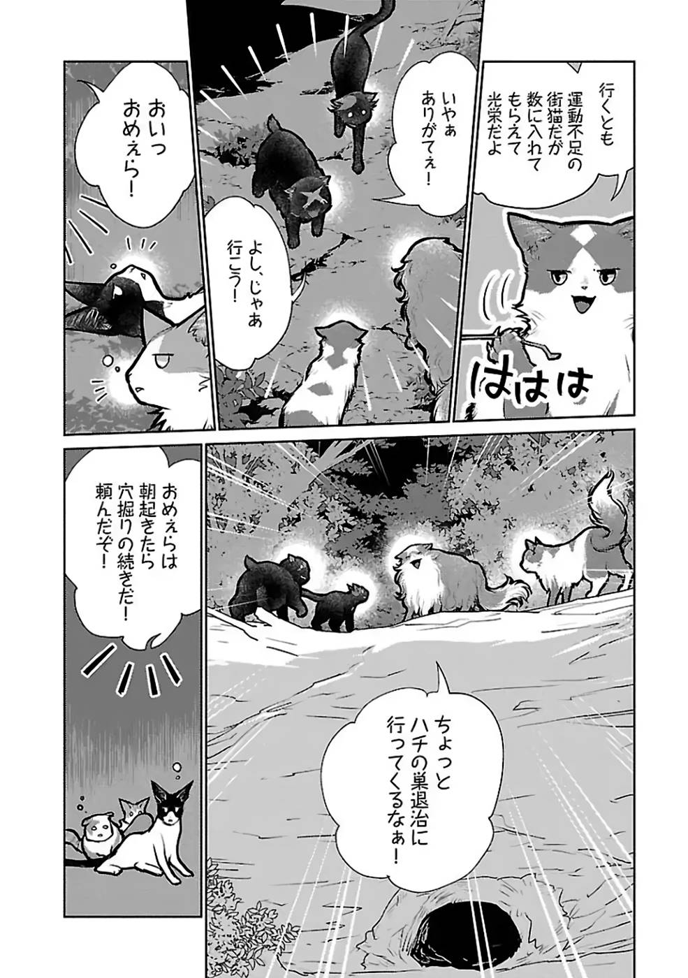 猫と竜 第23話 - Page 12