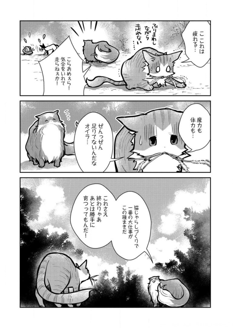 猫と竜 第9話 - Page 23