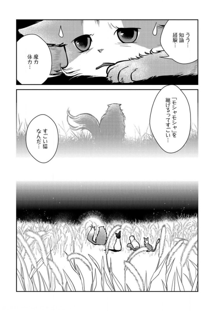 猫と竜 第9話 - Page 32