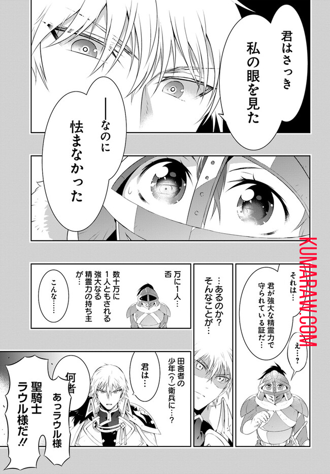 猫かぶり令嬢アリアの攻防 第3話 - Page 13