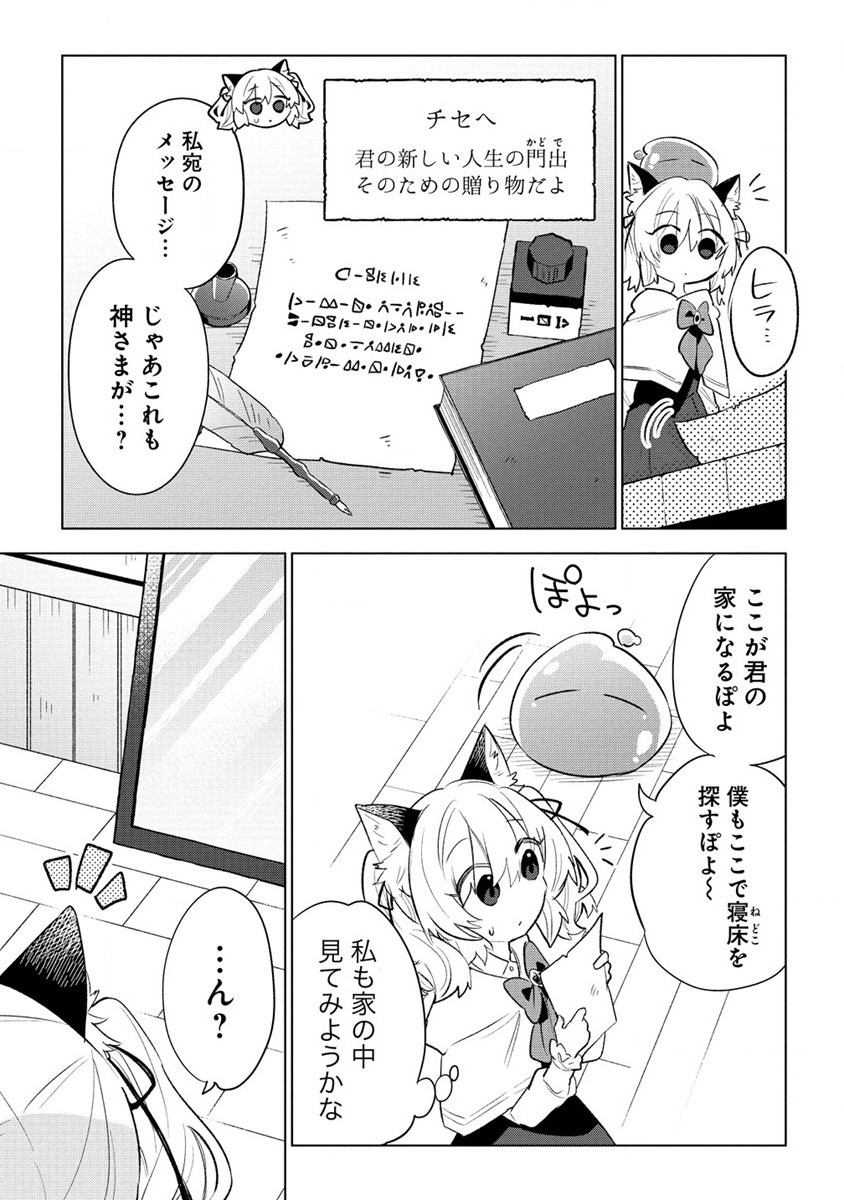 猫耳少女は森でスローライフを送りたい ～もふもふは所望しましたが、聖女とか王子様とかは注文外です～ 第1話 - Page 21