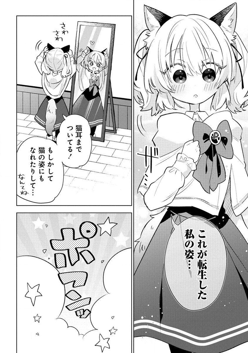 猫耳少女は森でスローライフを送りたい ～もふもふは所望しましたが、聖女とか王子様とかは注文外です～ 第1話 - Page 22