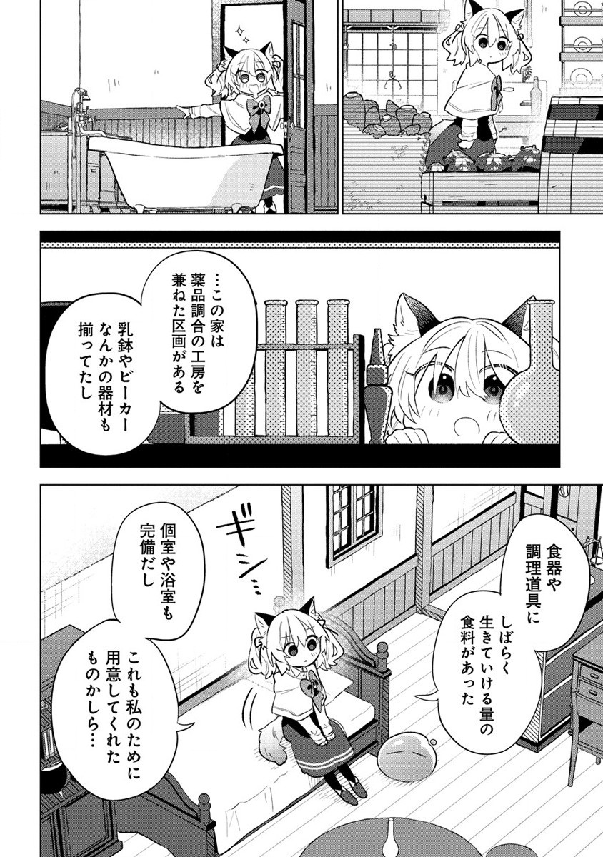 猫耳少女は森でスローライフを送りたい ～もふもふは所望しましたが、聖女とか王子様とかは注文外です～ 第1話 - Page 24