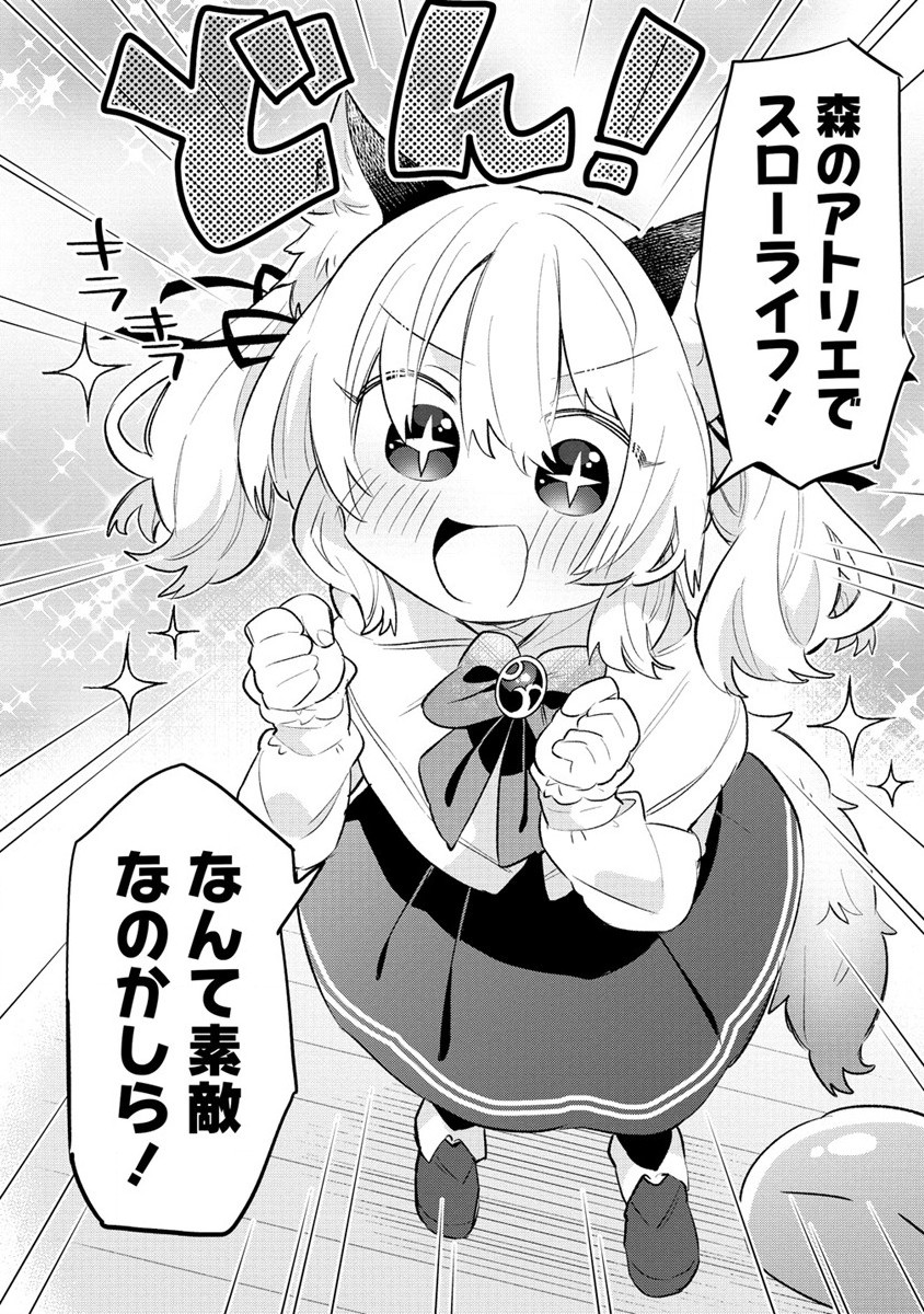 猫耳少女は森でスローライフを送りたい ～もふもふは所望しましたが、聖女とか王子様とかは注文外です～ 第1話 - Page 28