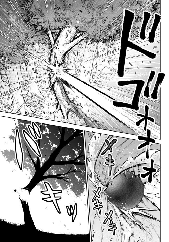 Nishuume Cheat No Tensei Madoushi (manga) 第7.2話 - Page 4