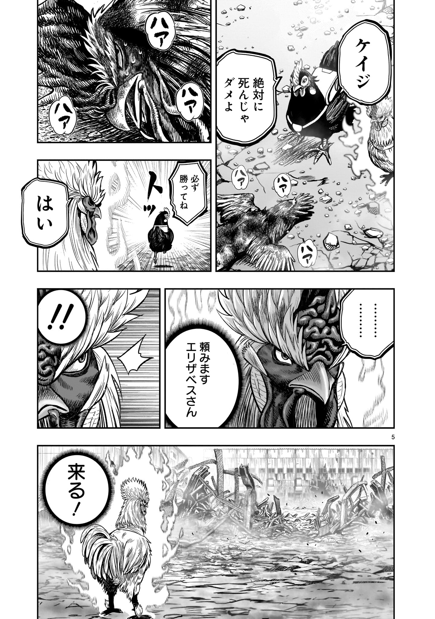 ニワトリ・ファイター 第28話 - Page 5