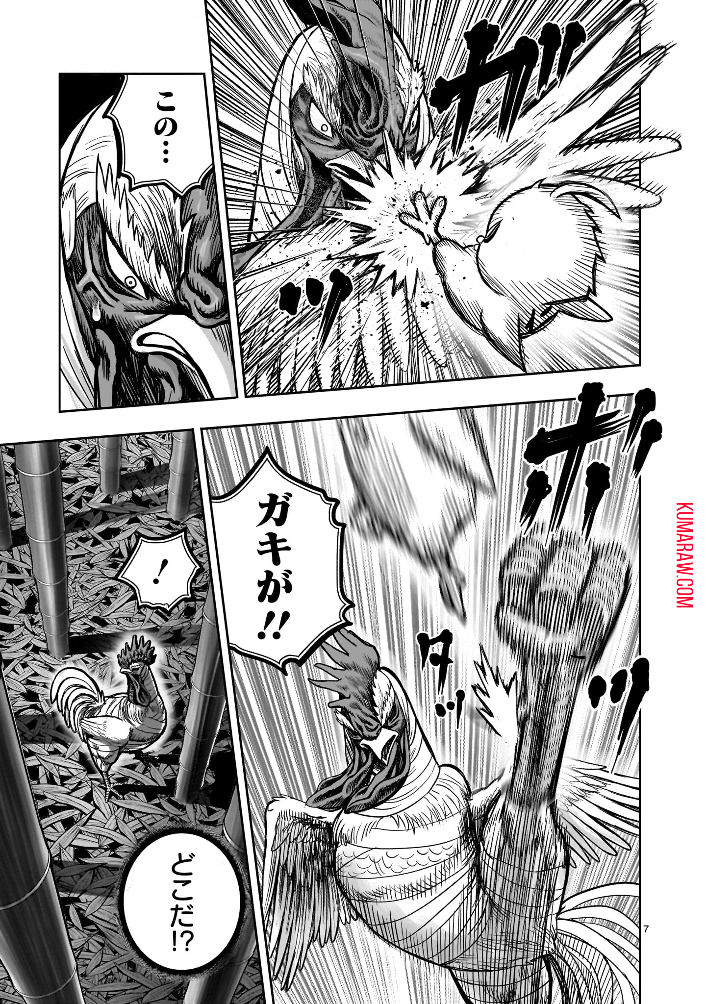 ニワトリ・ファイター 第33話 - Page 7