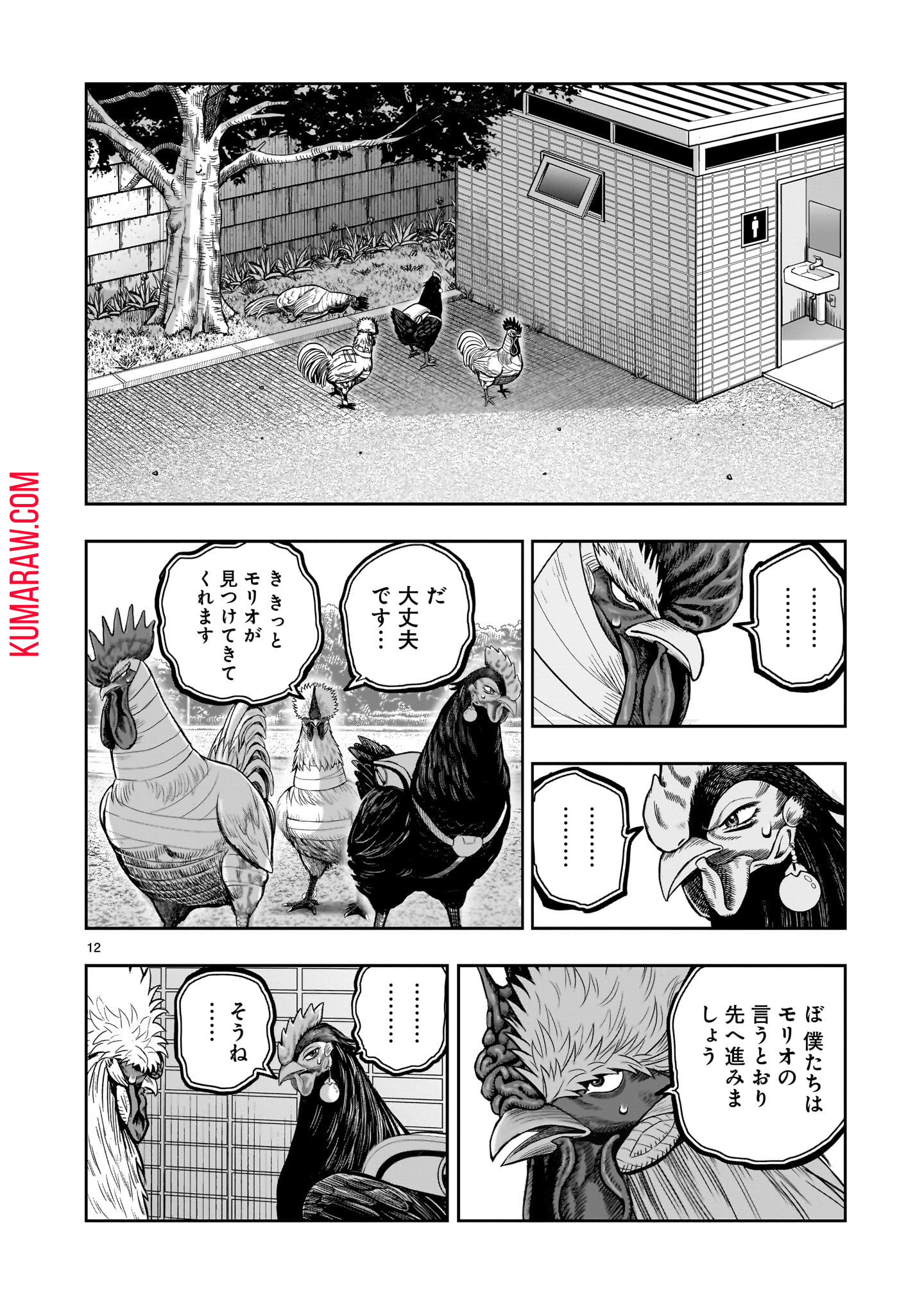 ニワトリ・ファイター 第34話 - Page 12