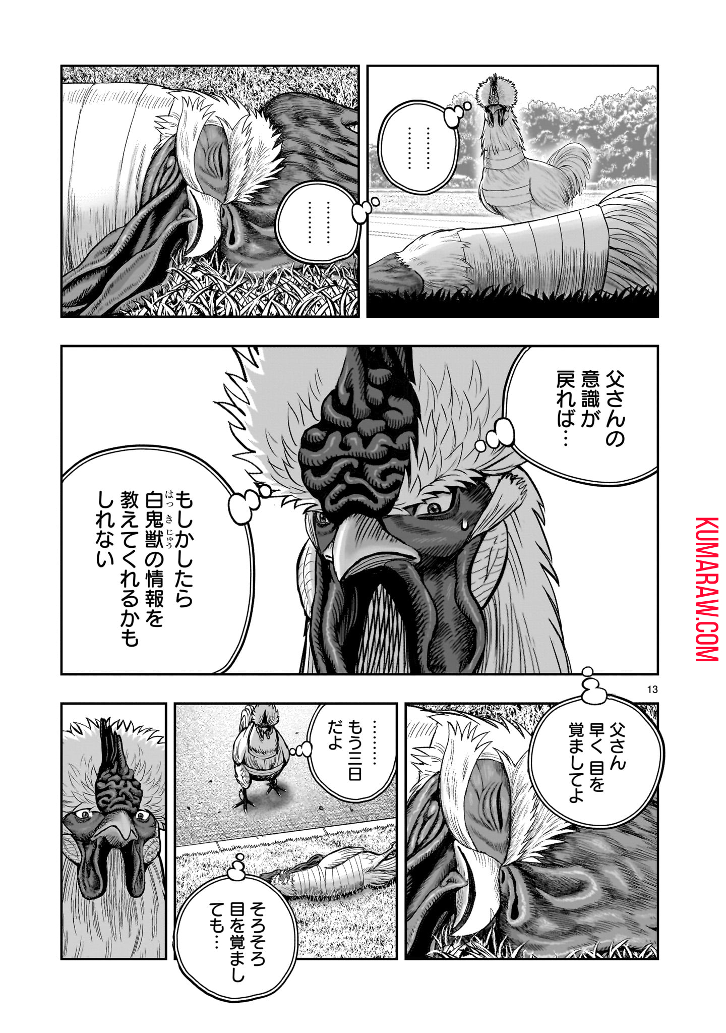 ニワトリ・ファイター 第34話 - Page 13