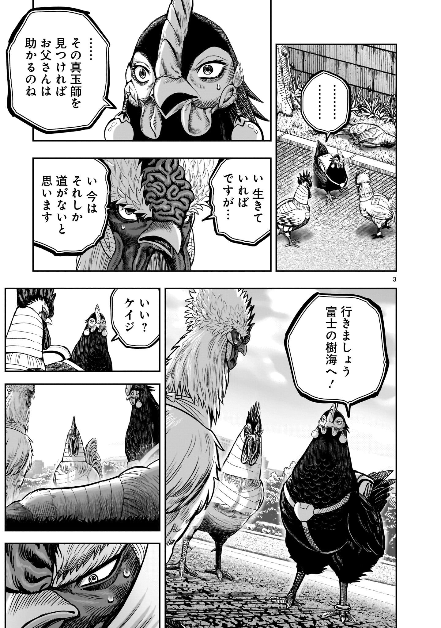 ニワトリ・ファイター 第35話 - Page 3