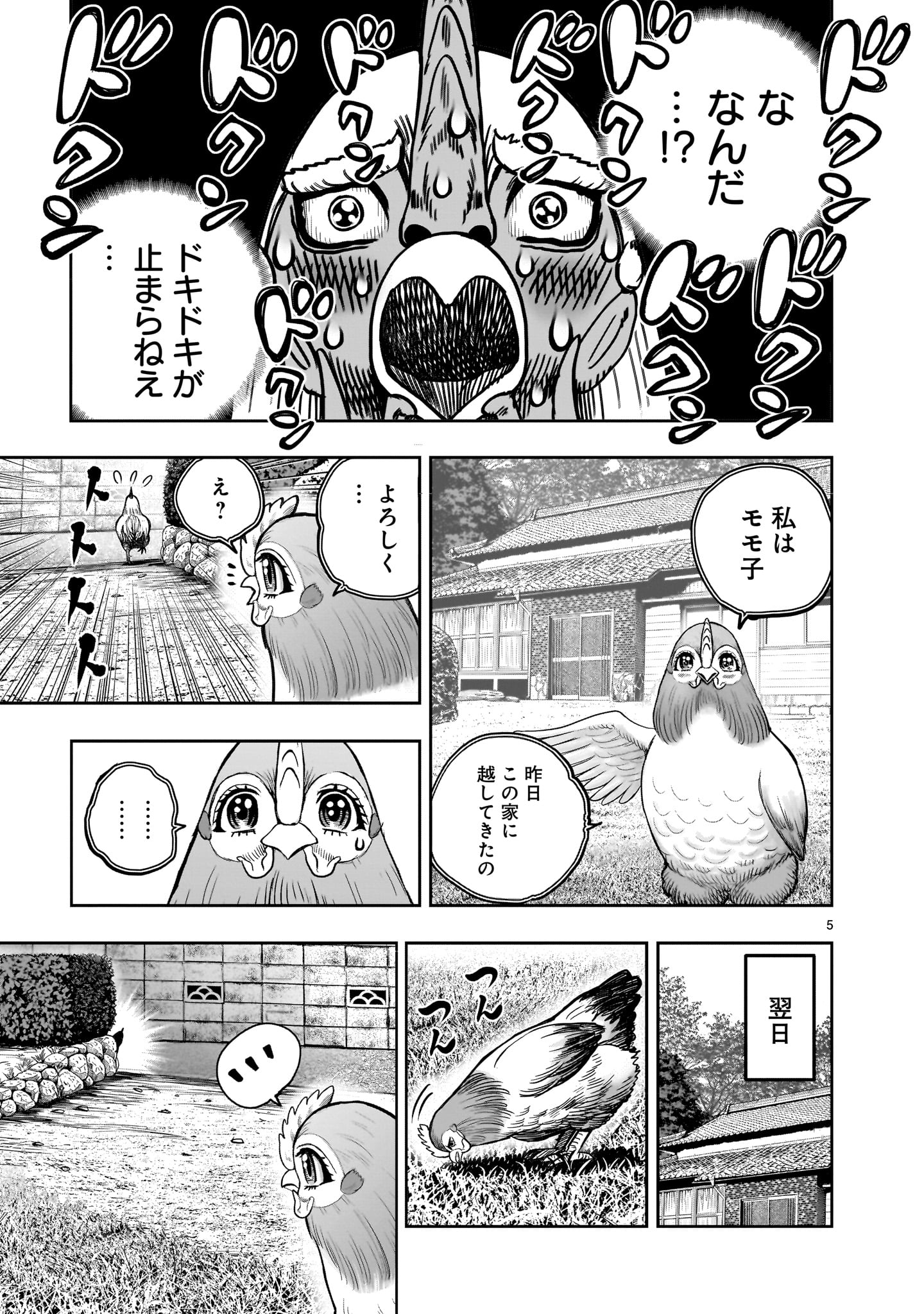 ニワトリ・ファイター 第36.5話 - Page 5