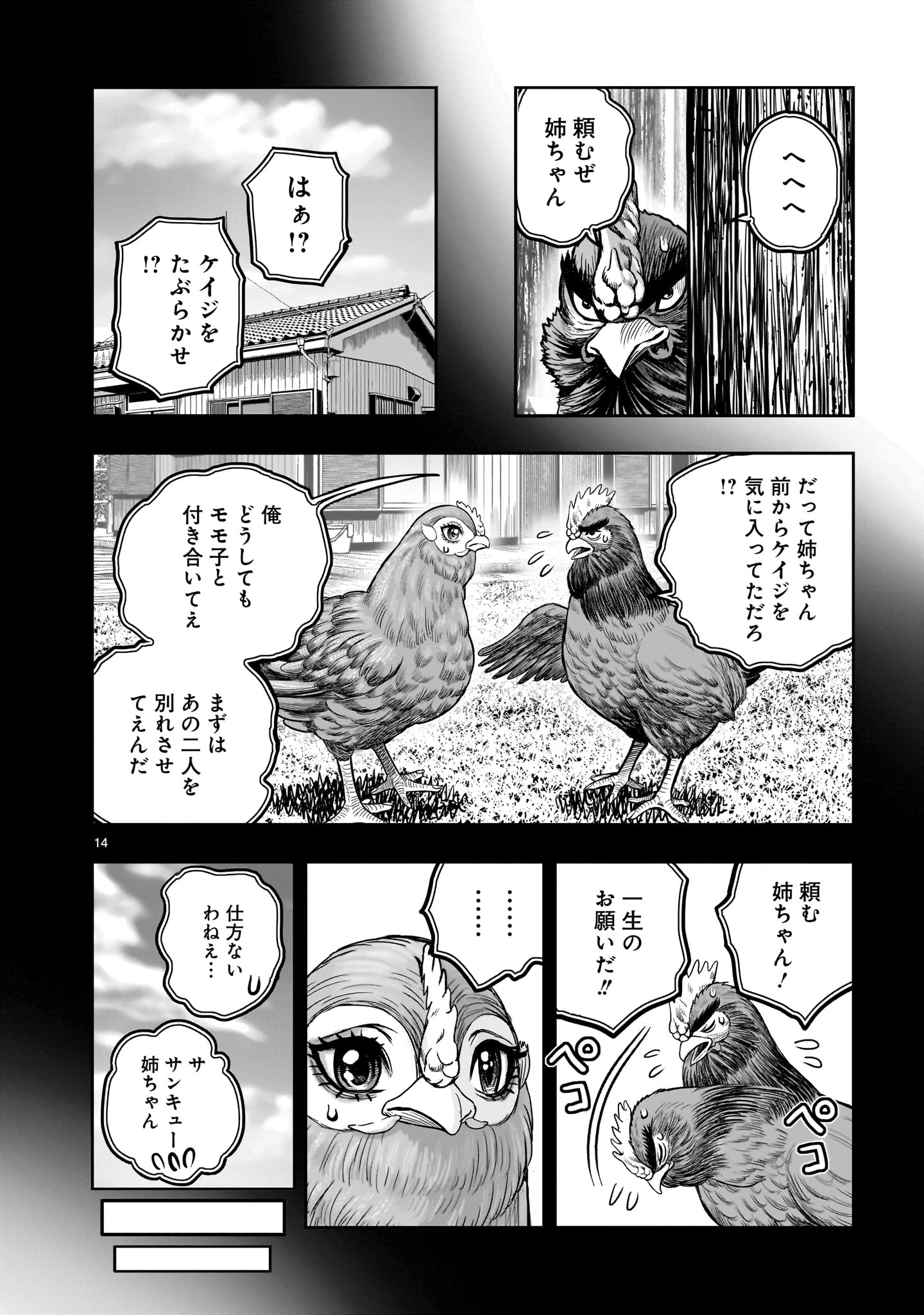 ニワトリ・ファイター 第36.5話 - Page 14