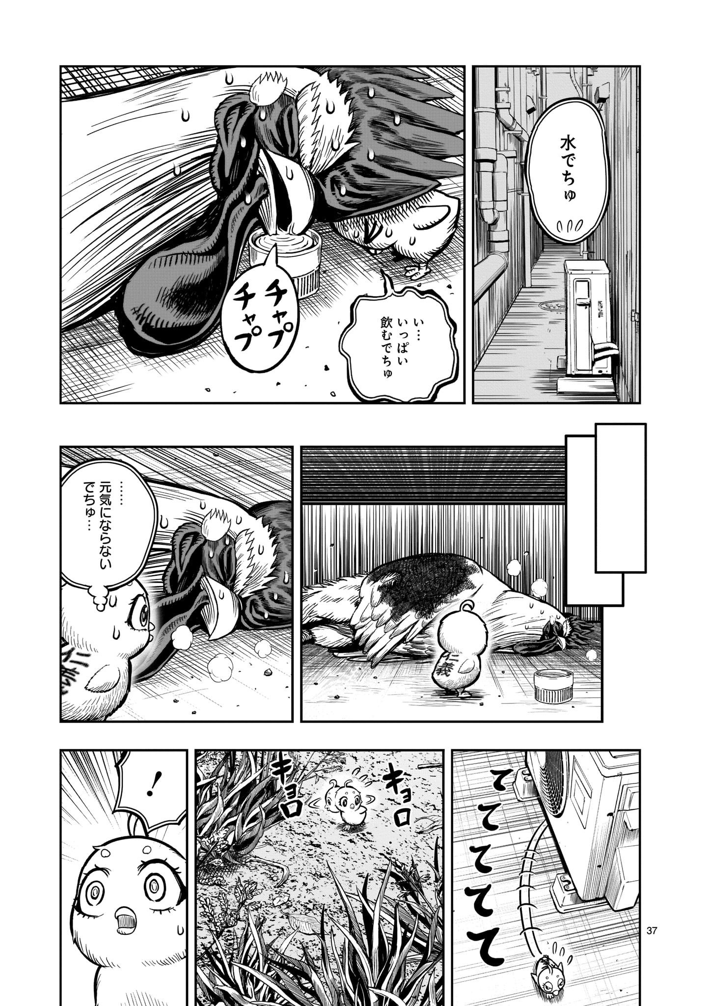 ニワトリ・ファイター 第6話 - Page 37